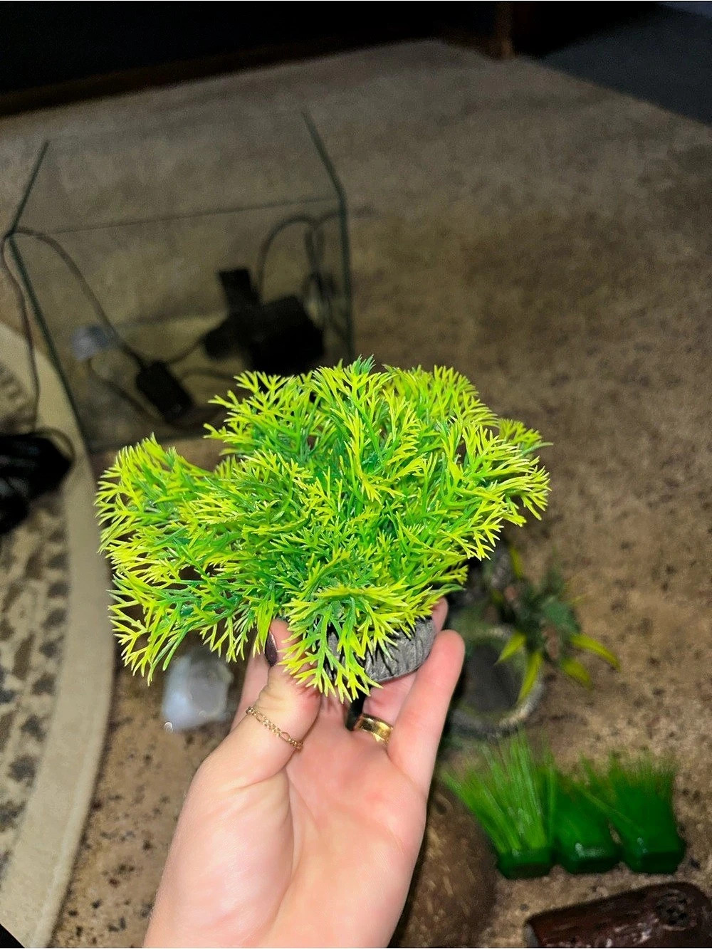Green Fake Aquarium Decor
